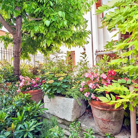 Nocleg ze śniadaniem Bone Novelle Dimora Storica Palazzo Zuzi 4*