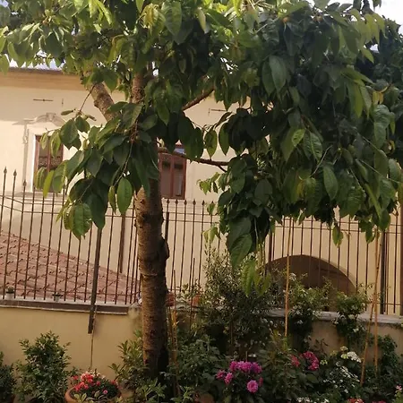 Bone Novelle Dimora Storica Palazzo Zuzi