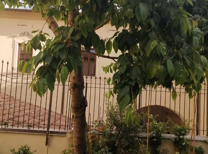 Bone Novelle Dimora Storica Palazzo Zuzi